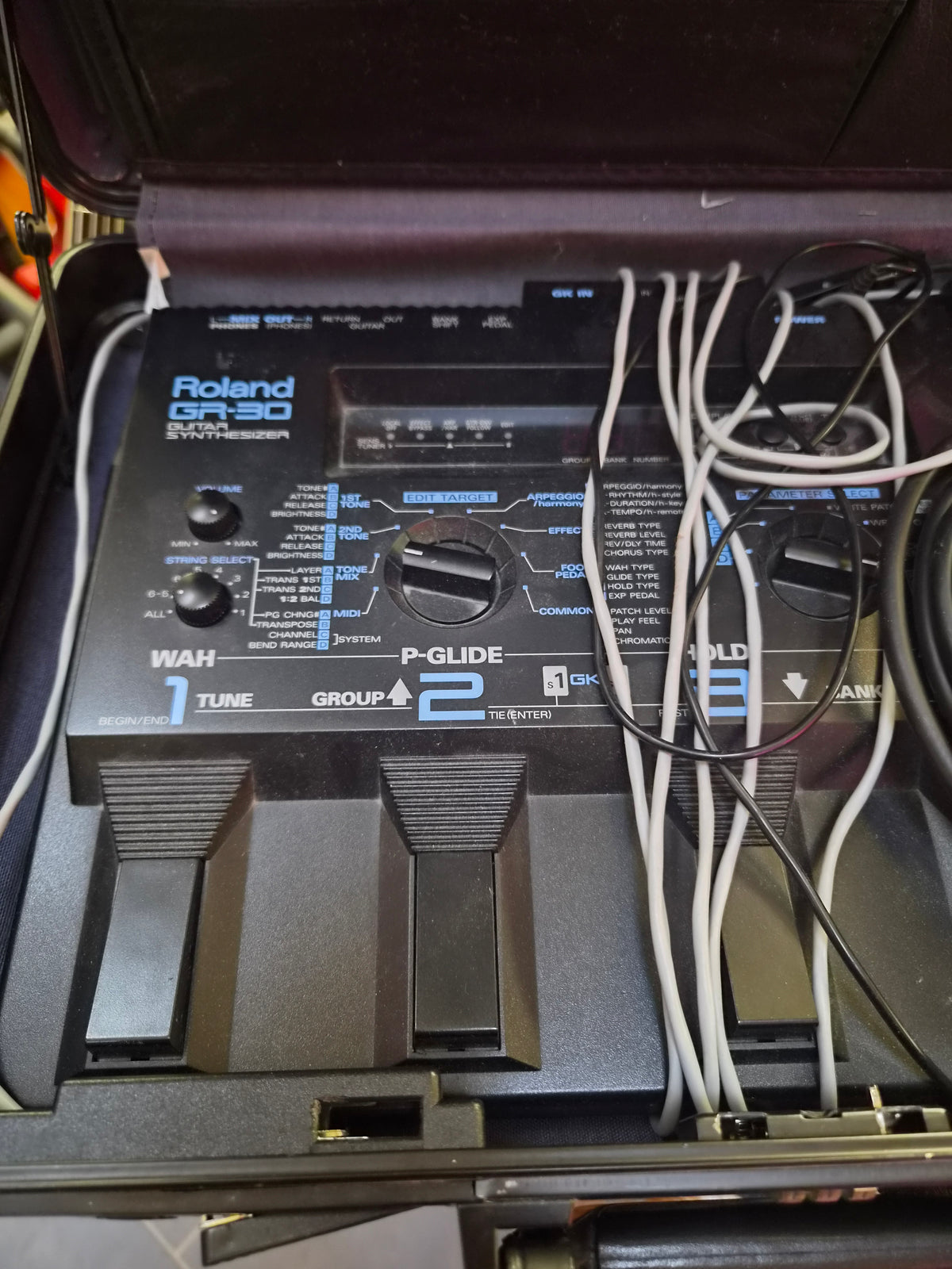 Roland GR-30 w/ Driver and cables