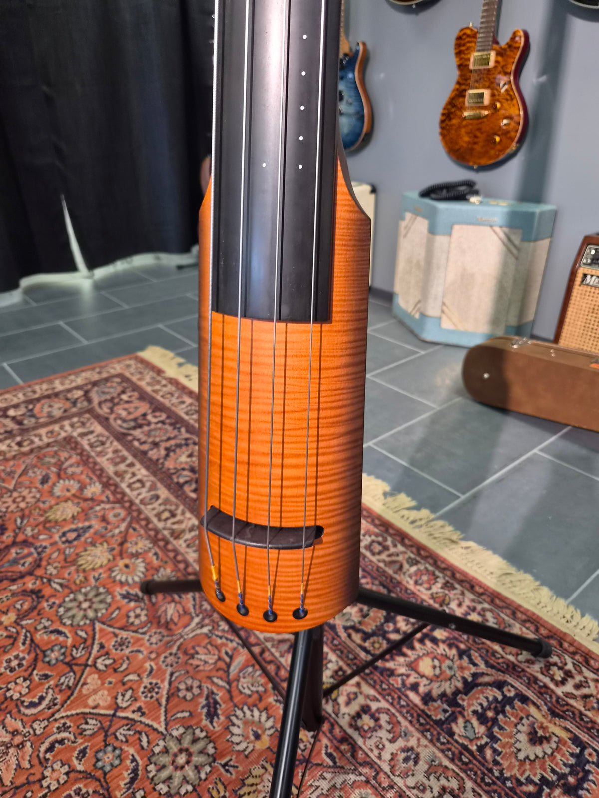 NS Design NXT4a-DB-SB Double Bass