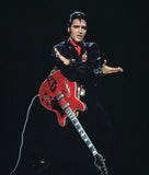 Hagström Viking II 1967 "Elvis"