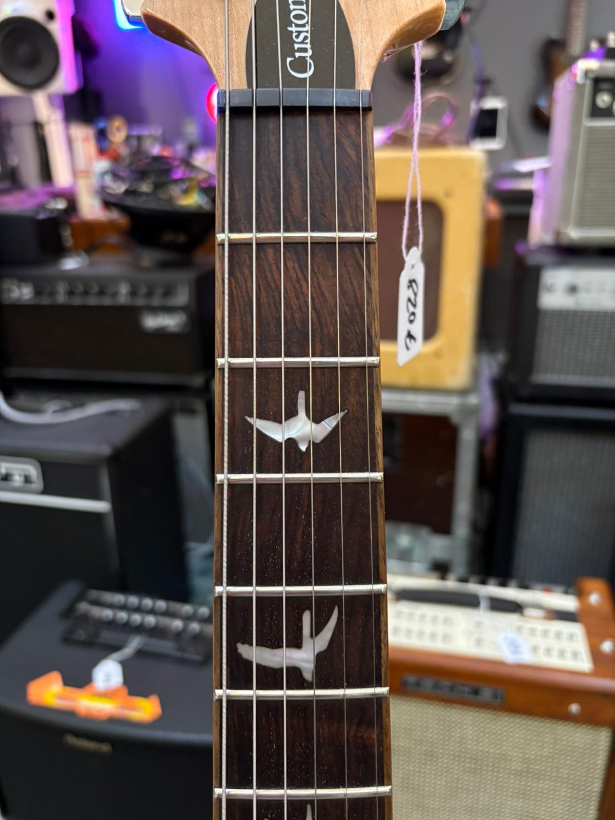 PRS SE Custom 24 Eriza Verde