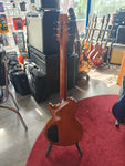 Aria Pro II PE-INSPIRE 2000s Made in Japan