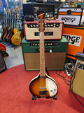 Danelectro Baby Sitar