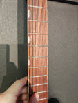 Gretsch 6119 Chet Atkins Tennessean 1966