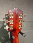 Gretsch 6119 Chet Atkins Tennessean 1966