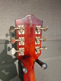 Gretsch 6119 Chet Atkins Tennessean 1966