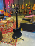 ESP Standard Series Viper Satin Black