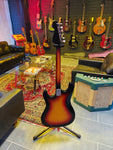 Ibanez 2020 1970s