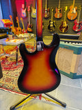 Ibanez 2020 1970s