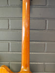 Gibson Firebird V Bicentennial 1976 Natural