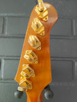 Gibson Firebird V Bicentennial 1976 Natural
