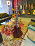 ESP LTD EC-1001 Deluxe Tiger Eye