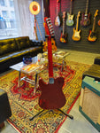 SL T-Style Thinline w/Brazilian Rosewood Fretboard
