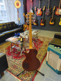Gibson Les Paul Standard 1981 Gold Top