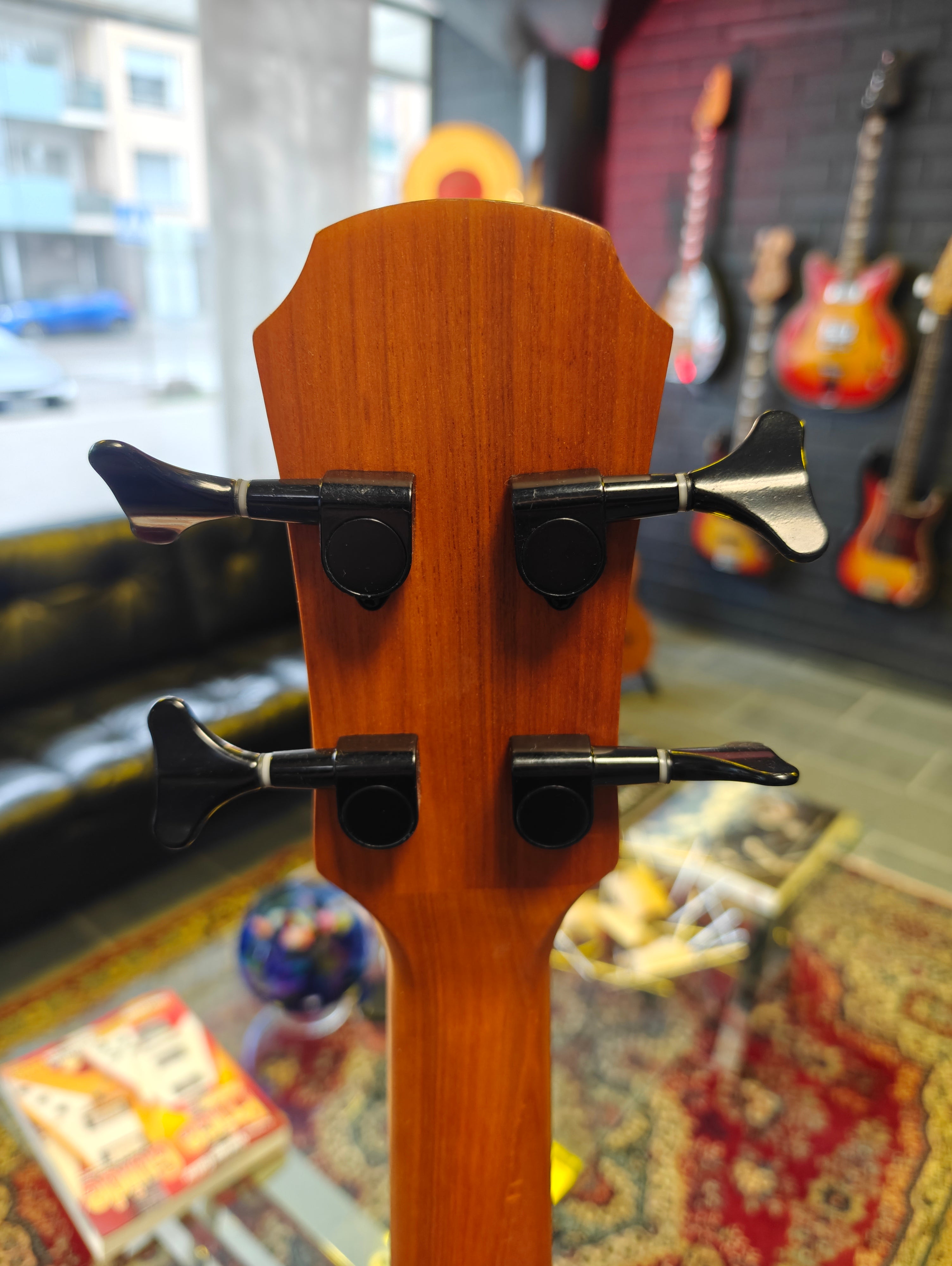 Aria FEB-F2/FL Full Scale Fretless