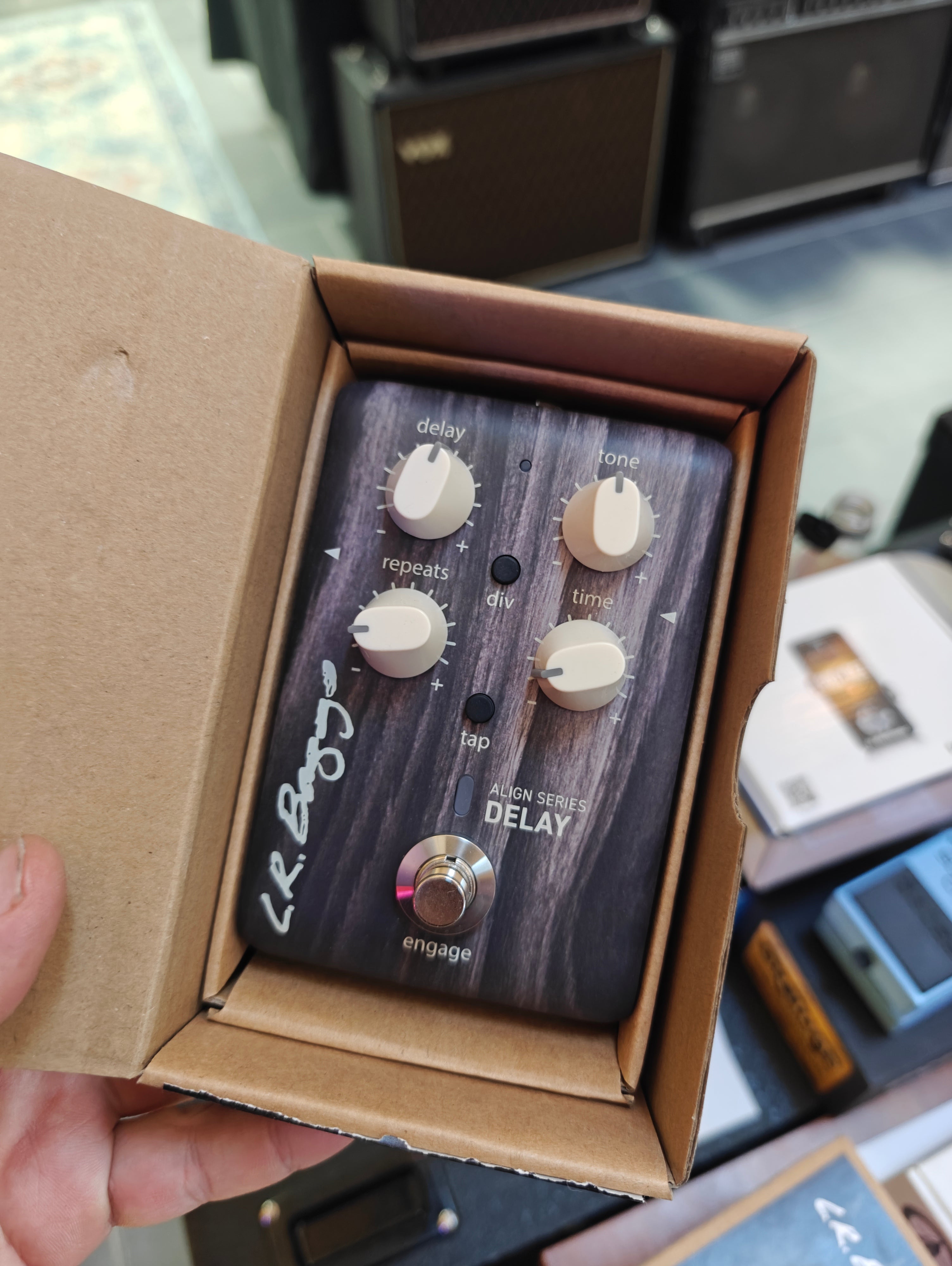 L.R. Baggs Align Series Delay