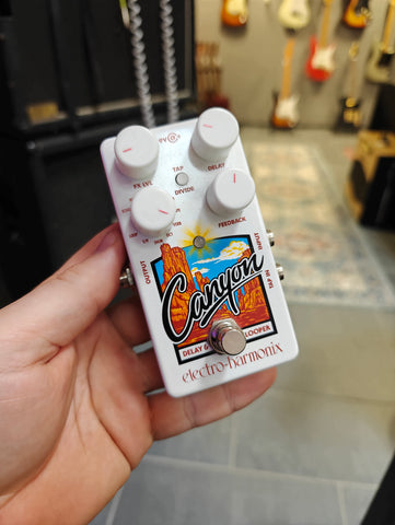 Electro-Harmonix Canyon