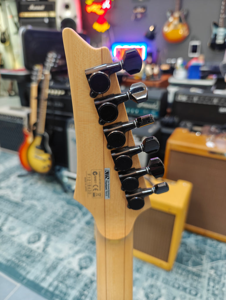 RG3250MZ | Ibanez Wiki | Fandom