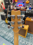 Washburn SB-8 T-Bird 1982