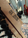 SubZero Generation Pro Fanned Fret 7 Ocean Fade