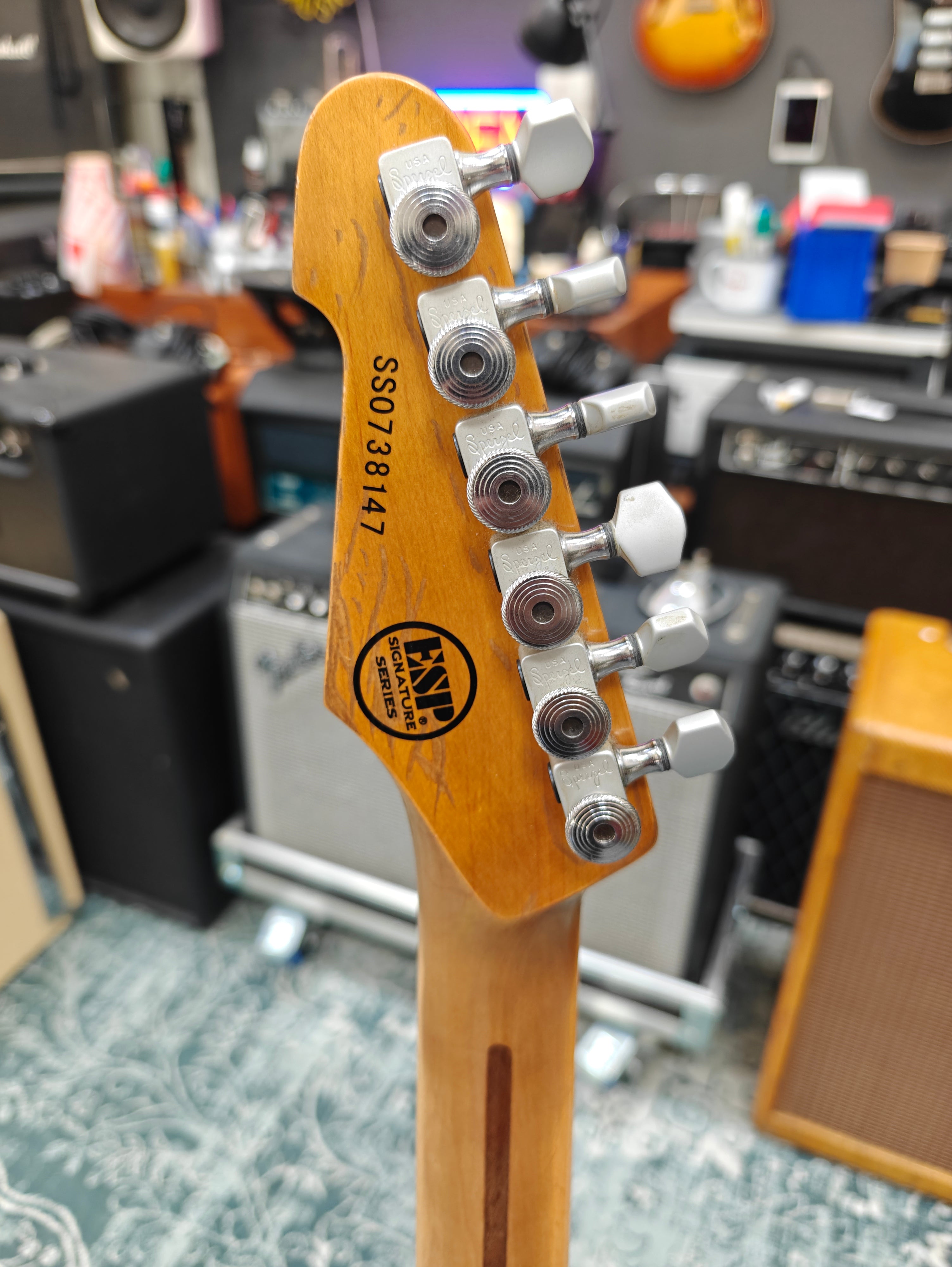 ESP Signature Series GL-56 George Lynch Signature