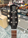 Danelectro Wild Thing
