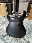 PRS SE Paul´s Guitar