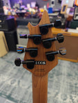 EVH Wolfgang WG Standard BS Gray