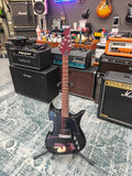 Washburn PS-400
