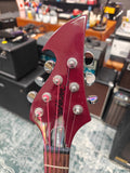 Washburn PS-400
