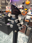 Washburn PS-400