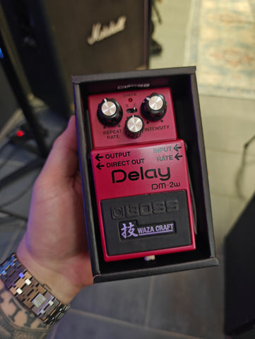 Boss DM-2w Delay