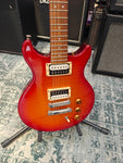 Hamer Special FM USA 1993