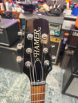 Hamer Special FM USA 1993