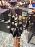 Hamer Special FM USA 1993