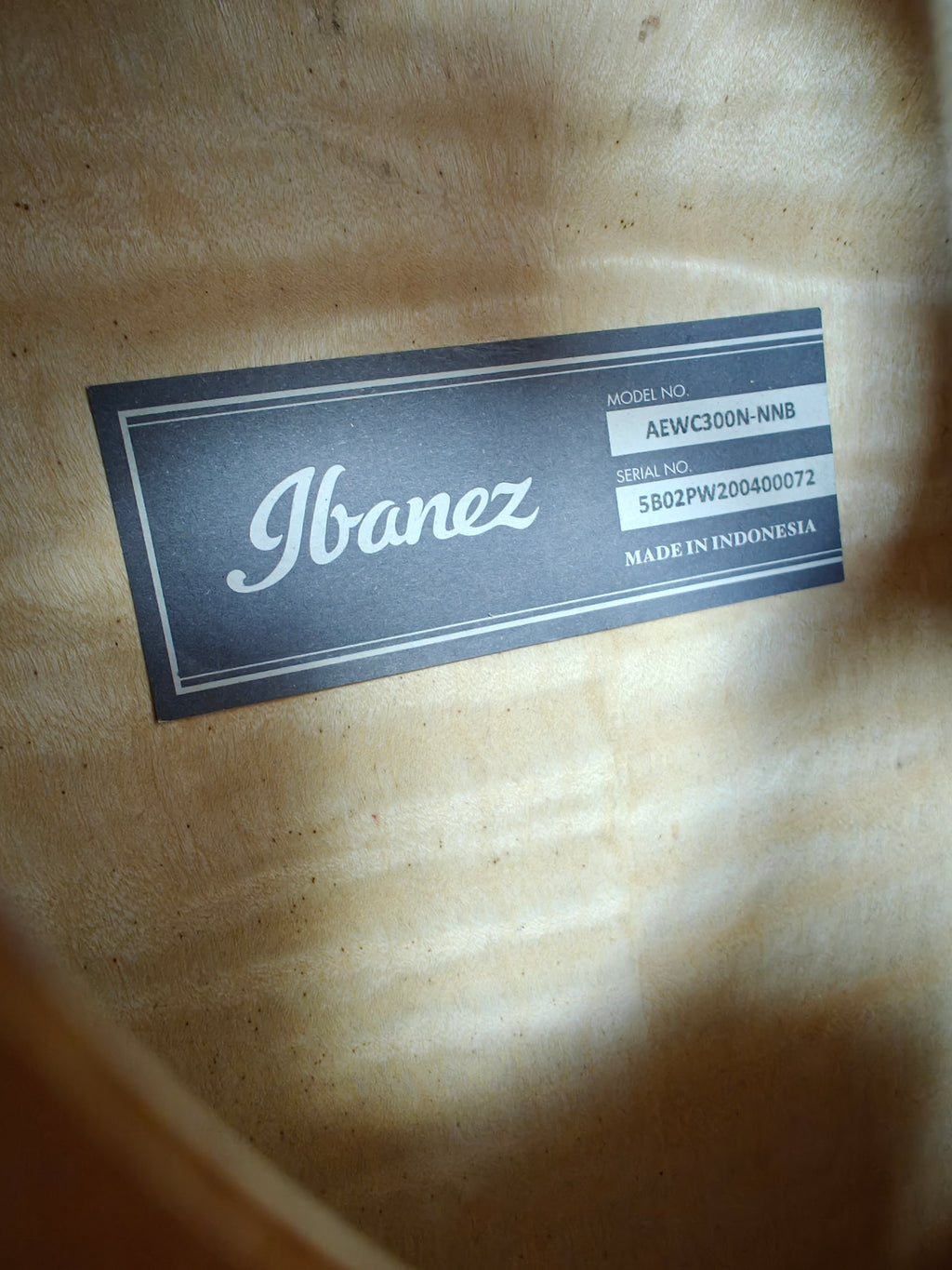 Ibanez AEWC300N-NNB