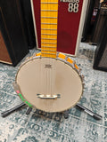 Gretsch G9460 Dixie 6 w/ K&K Banjo Twin