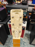 Gretsch G9460 Dixie 6 w/ K&K Banjo Twin