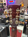 Regal RC-2 Duolian Resonator