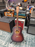 Art & Lutherie Folk Cedar