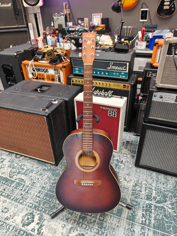 Art & Lutherie Folk Cedar