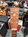 Art & Lutherie Folk Cedar