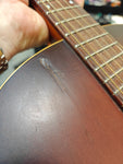 Art & Lutherie Folk Cedar