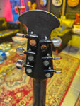 Ovatin Breadwinner w/ Roland GK-2 Guitar Synthesizer Pickup