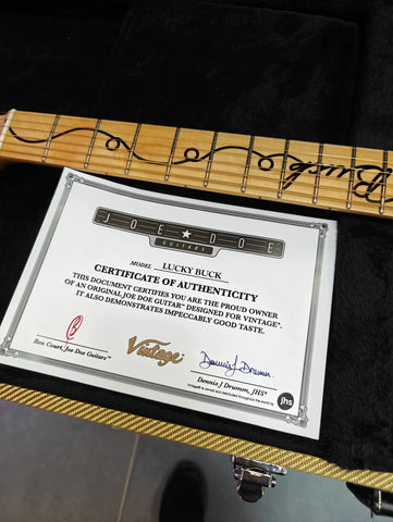 Joe Doe by Vintage Lucky Buck Telecaster JDV 2020