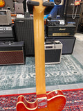 Joe Doe by Vintage Lucky Buck Telecaster JDV 2020