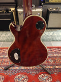 Schecter Solo II Custom Burl Natural