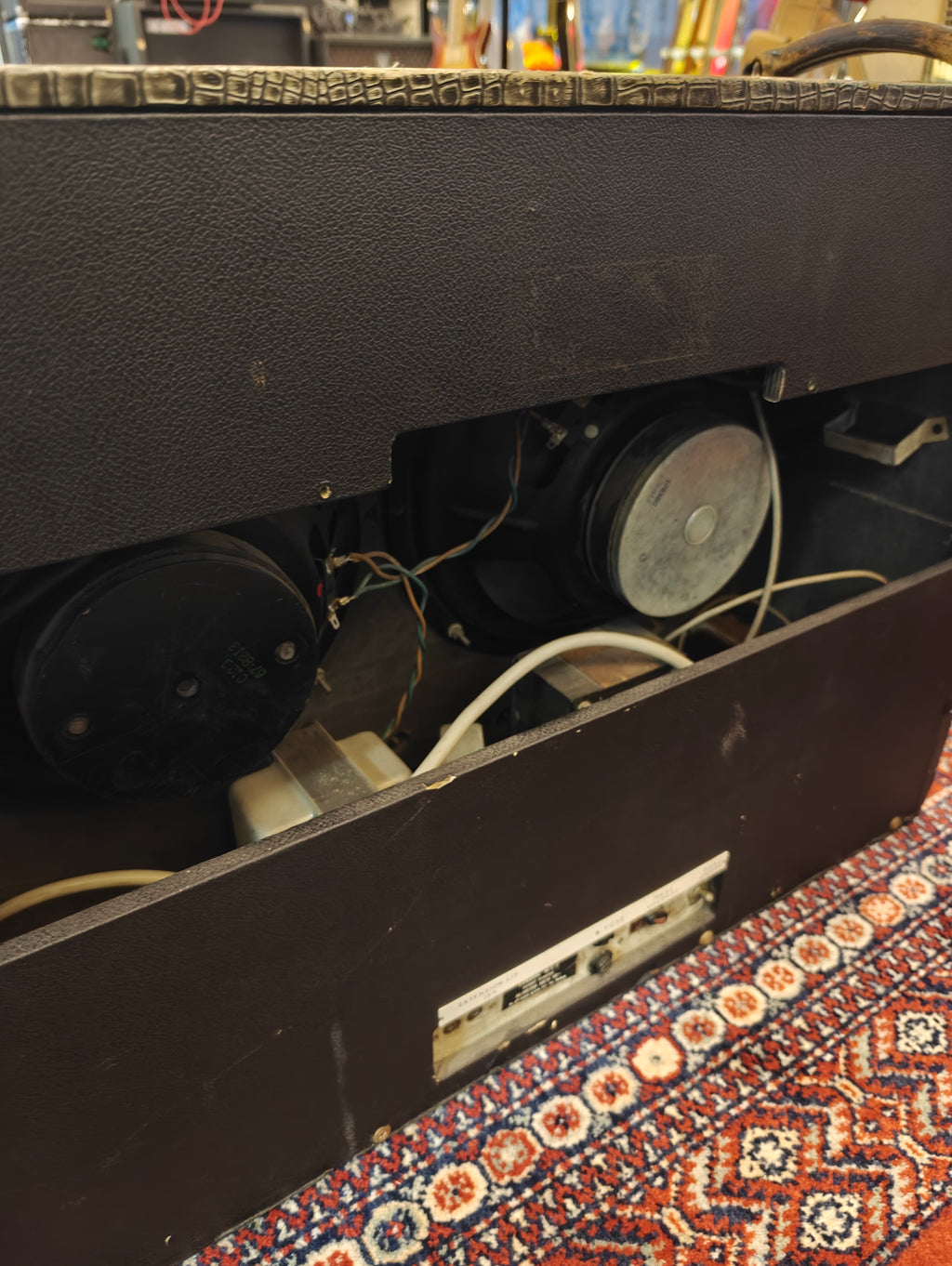 Selmer Zodiac Twin-Fifty Truvoice 1960s
