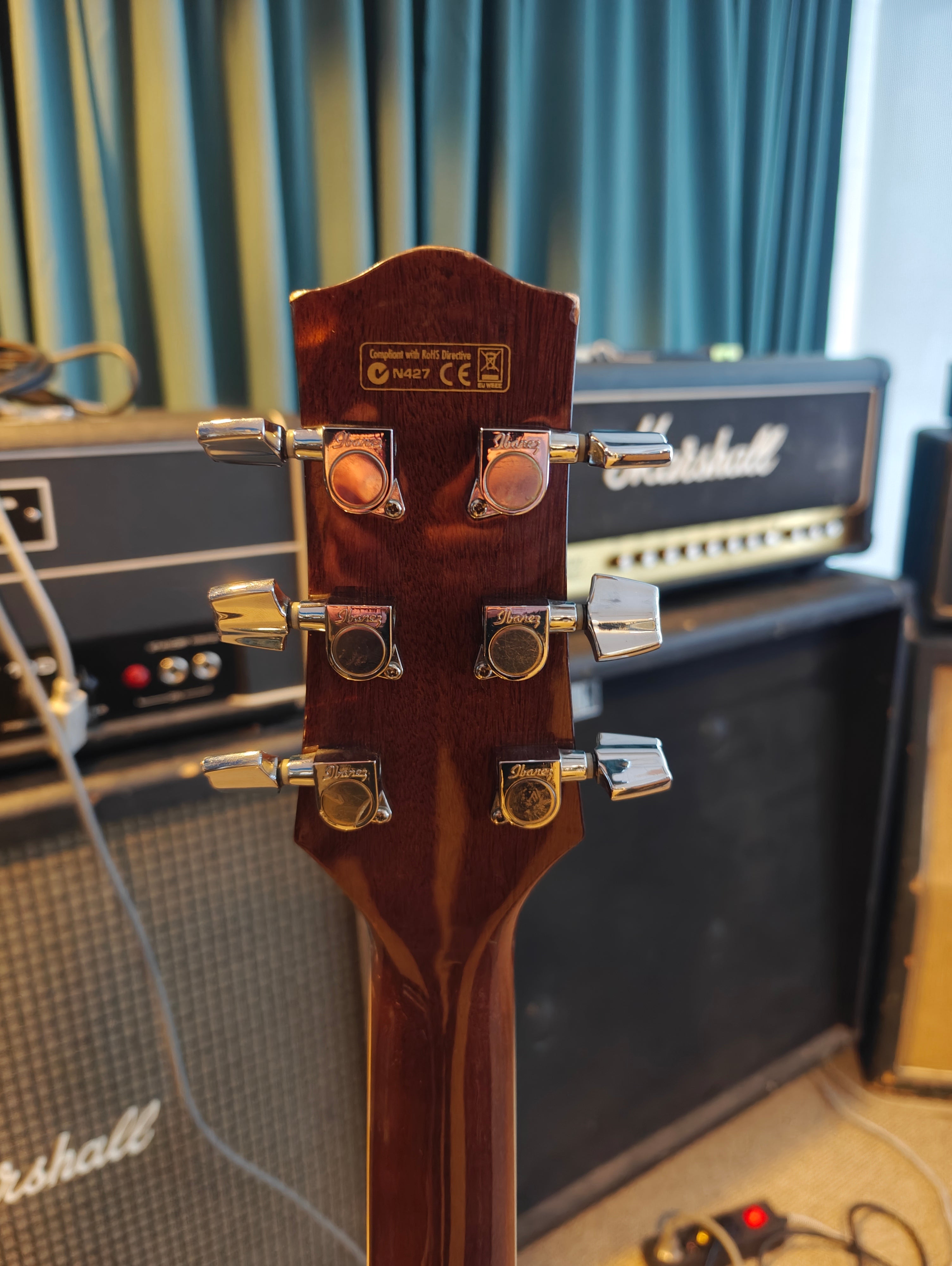 Ibanez EW20WNENT1202