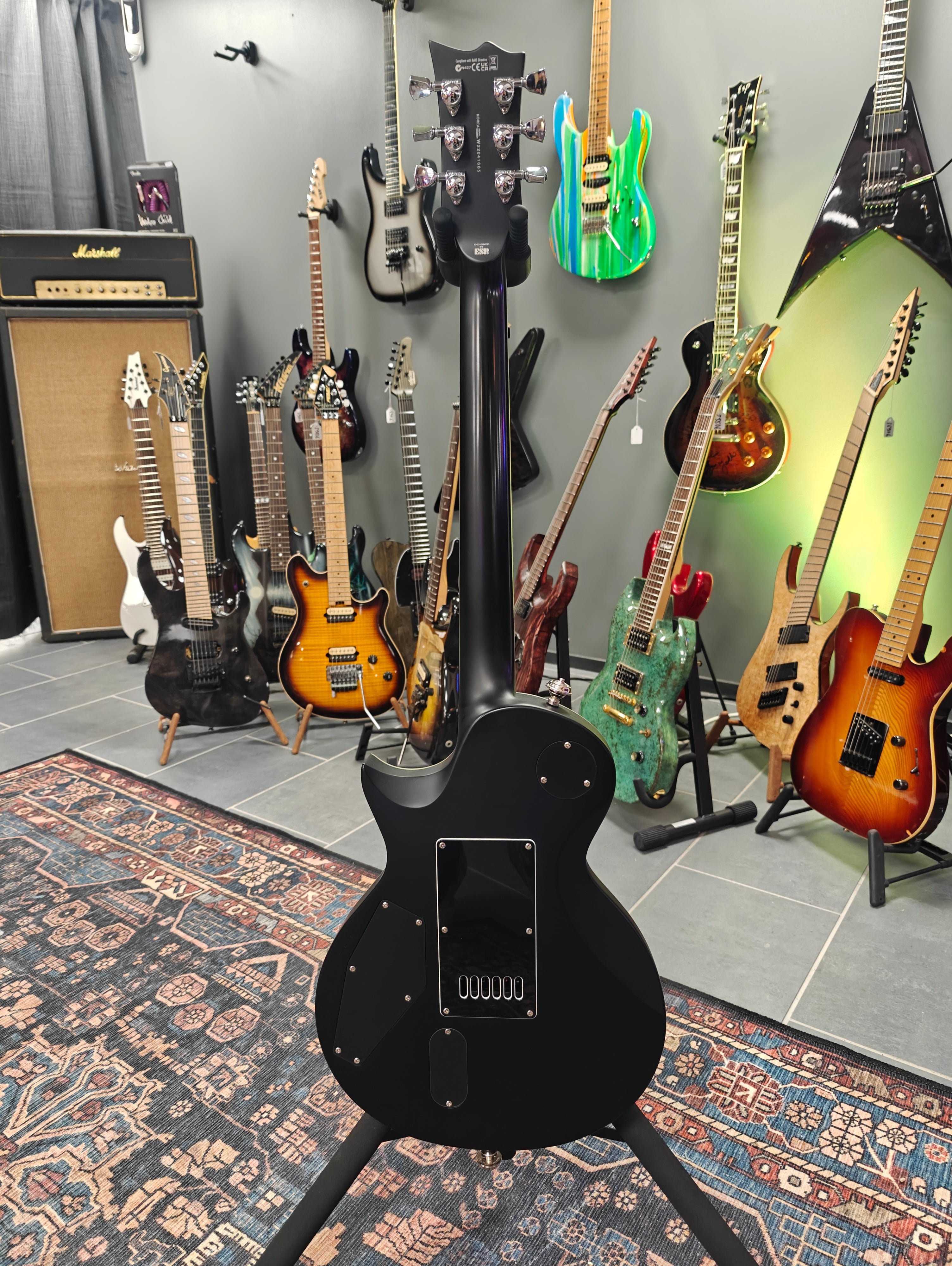 LTD EC-1000 Deluxe Evertune