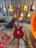 PRS SE Standard 24